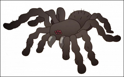 Comment s'appelle l'araignée de compagnie des Fitzgerald ?