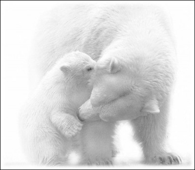 Quelle est cette couleur ?