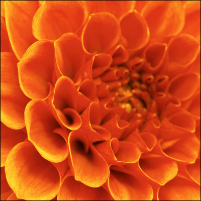 Quelle est cette couleur ?