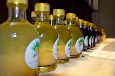 A base de quoi est fabriqué le mezcal, eau-de-vie élaborée au Mexique ?