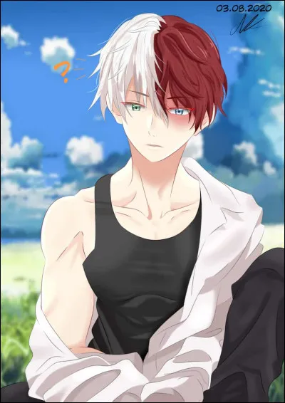 Le groupe sanguin de Shoto est...