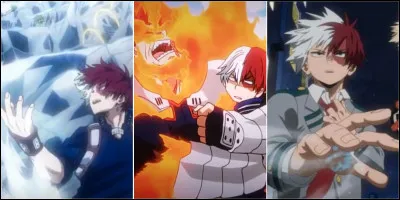 Au test d'évaluation des Alters, Shoto finit...