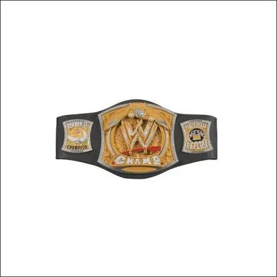 Champion de la WWE :