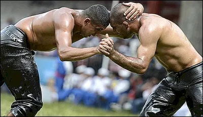 De quelle sorte d'huile les lutteurs turcs s'enduisent-ils ?