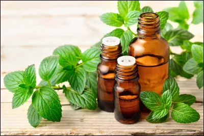 Quel "parfum" à base de musc a été popularisé par les hippies ?