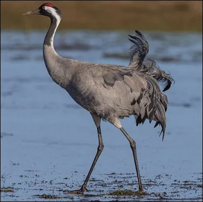 Il est vrai que pour trouver un nom, c'est un vrai chantier ! Regardez en Ouganda...