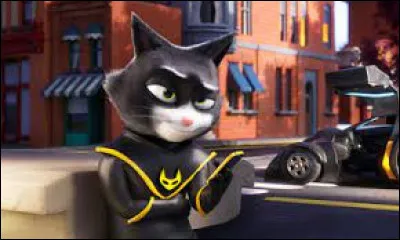 Quel est le nom de ce personnage ?