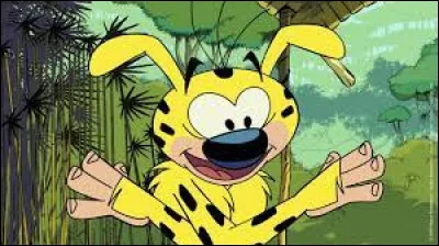 Quel est le nom de ce personnage ?