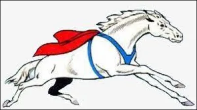 Quel est le nom de ce personnage ?