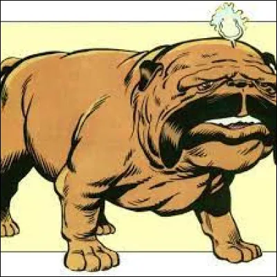 Quel est le nom de ce personnage ?