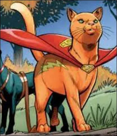 Quel est le nom de ce personnage ?