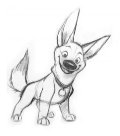 Comment s'appelle ce chien ?