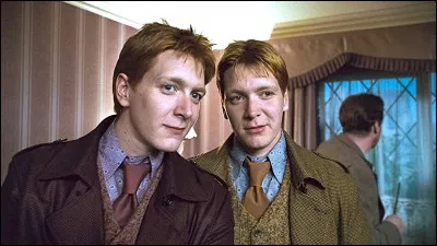 Les jumeaux Weasley offrent à Harry un objet utile pour détecter quiconque se trouve dans le château. Il s'agit...