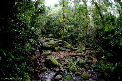 Harry, Ron et Hermione se rendent chez Hagrid qui doit assister à l'exécution de Buck. Celui-ci se trouve...