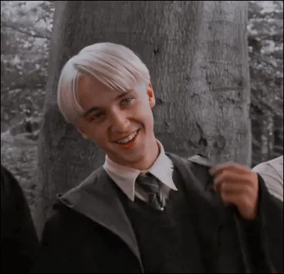 Drago Malefoy s'est blessé durant le cours de Hagrid et Rogue demande à Harry et Ron de l'aider à préparer ses ingrédients. Ron doit couper...