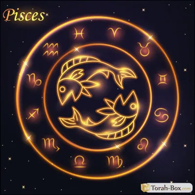 Quel est son opposé polaire ?