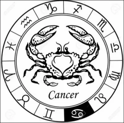 Quel est son opposé polaire ?