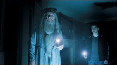 Facile : en quoi Horace Slughorn est-il métamorphosé quand Dumbledore et Harry arrivent chez lui ?