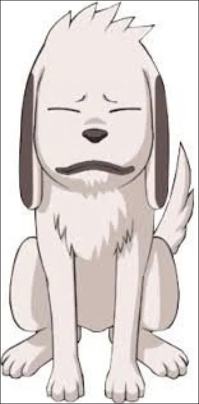 Quel est ton animal préféré ?