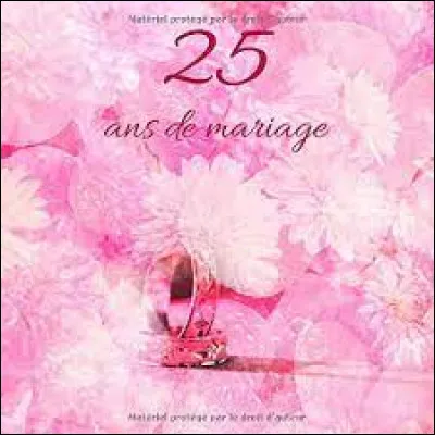 Mariés depuis 25 ans, Angèle et Antoine s'apprêtent à fêter leurs noces ...