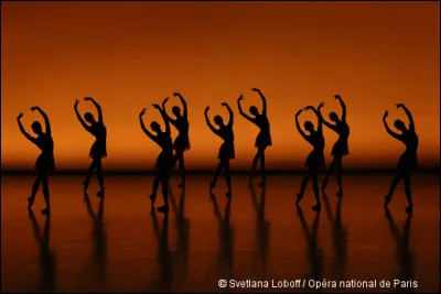 Qui a écrit le roman "Regardez-nous danser" ?