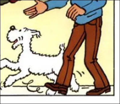 À partir de quand Tintin abandonne-t-il les culottes de golf ?