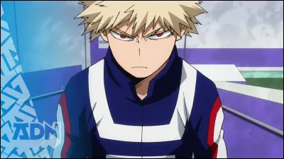 Quel est ton pire défaut ?