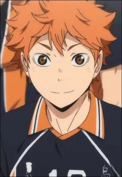 Comment s'appelle le doubleur français de Hinata ?