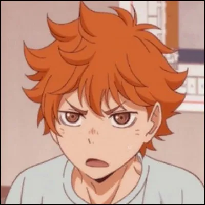 Quel est le surnom donné à Hinata ?