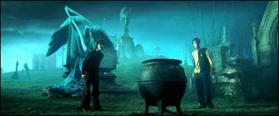 Pourquoi Harry peut-il être touché par Voldemort uniquement à partir de ce moment de la saga ?