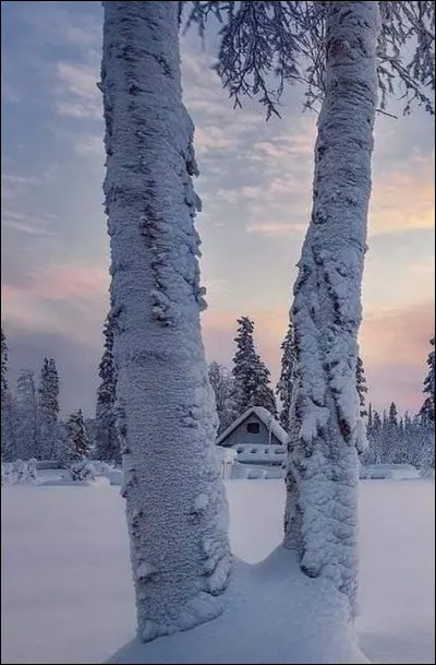Combien de Huguenots seront assassin&eacute;s lors du massacre de Wassy ?