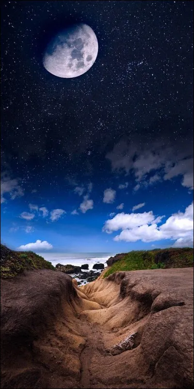 D'o&ugrave; Charles II expulse-t-il les j&eacute;suites en mars 1767 ?