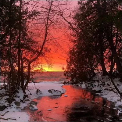 En quelle ann&eacute;e les USA annexent-ils le Texas ?