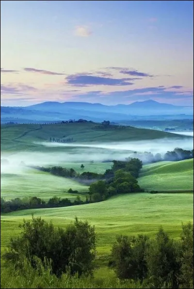 Quel métal retrouve-t-on dans la mousse d'or ?