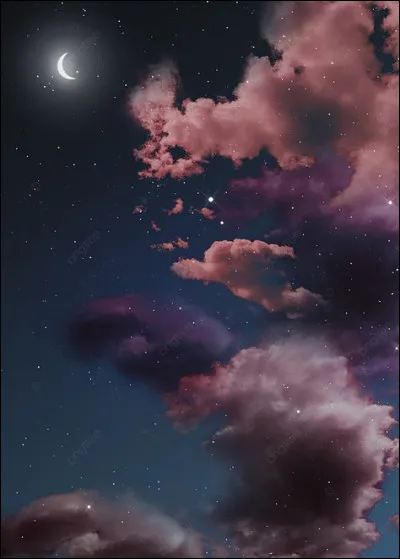 Duquel de ces petits animaux observe-t-on des nuages ?