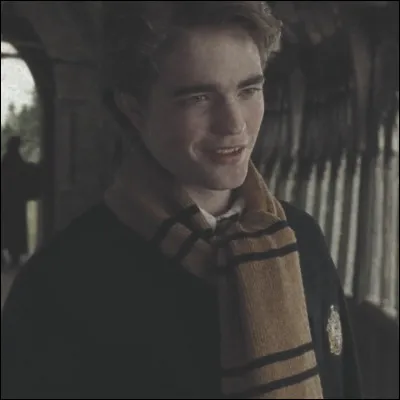 Cedric Diggory : quel sort lui lance Krum dans le labyrinthe ?