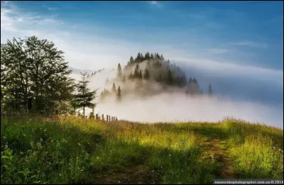 Quelle est la langue officielle du pays ?