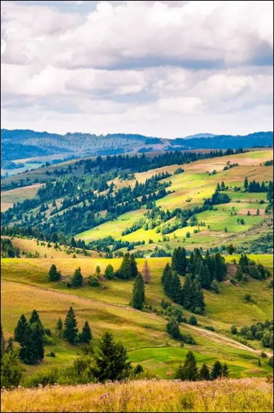 Quelle est la durée du mandat présidentiel ukrainien ?