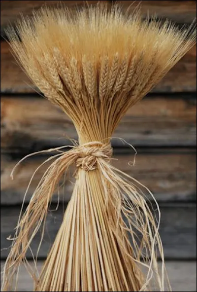 Dans quelle série retrouve-t-on la petite Justine Blériot ?