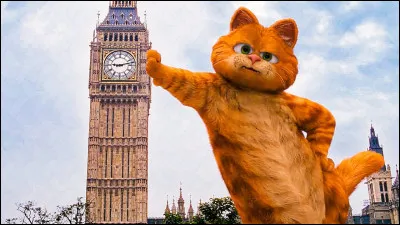 Qui est le chat le plus mignon du monde ?