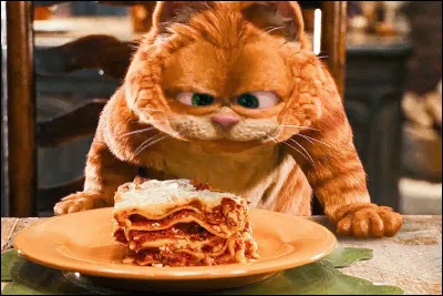 Quel est le plat préféré de Garfield ?