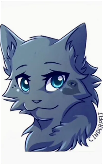 Quel est le chef du Clan du Tonnerre dans le premier livre ?