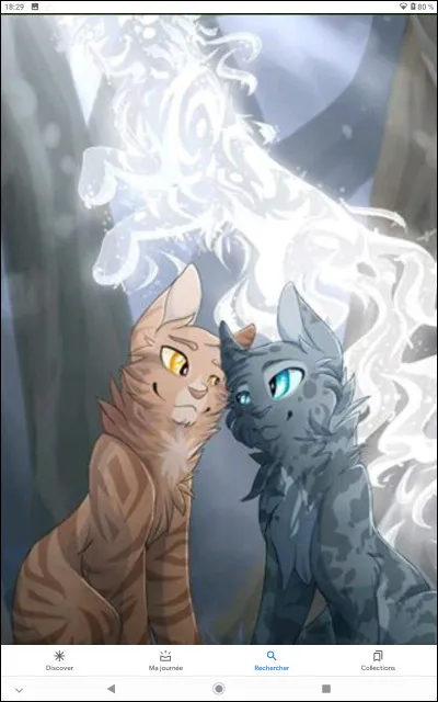 Quel est le pelage d'Étoile Bleue ?