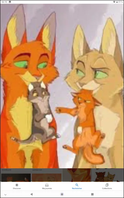 Encore 3 questions !
Comment s'appellent les chatons de Cur de Feu et de Tempête de Sable ?