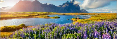 Comment écrivez-vous le nom de cette municipalité ?