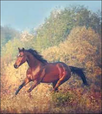 Qui a interprété la chanson "Le petit cheval" en 1952 ?