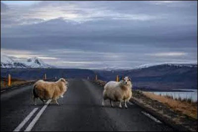 Quelle orthographe est correcte ?