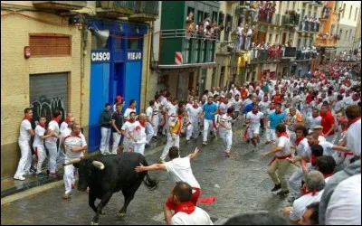 Quelle est cette ville d'Espagne, capitale de la communauté florale de Navarre, célèbre pour les fêtes de la Saint Firmin du 6 au 14 juillet où chaque matin des taureaux sont lâchés dans les rues ?