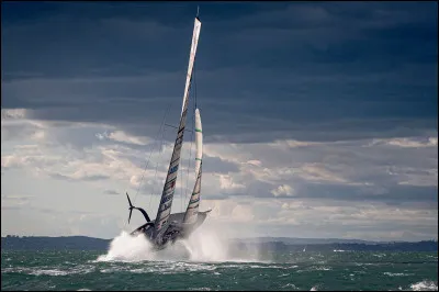 Quel pays a, en 1983, ravi pour la première fois la Coupe de l'America aux USA  ?