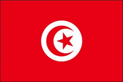 &Agrave; quel pays appartient ce drapeau ?